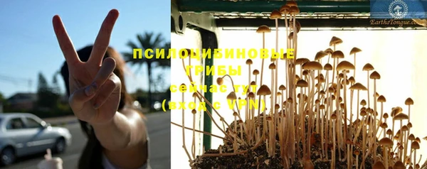 кокс Майский