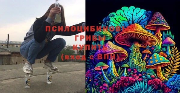 СК Медвежьегорск